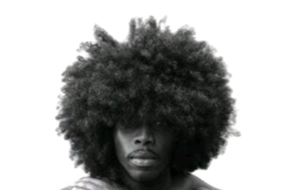 Real Afro Hair PNG - Afro Hair Png