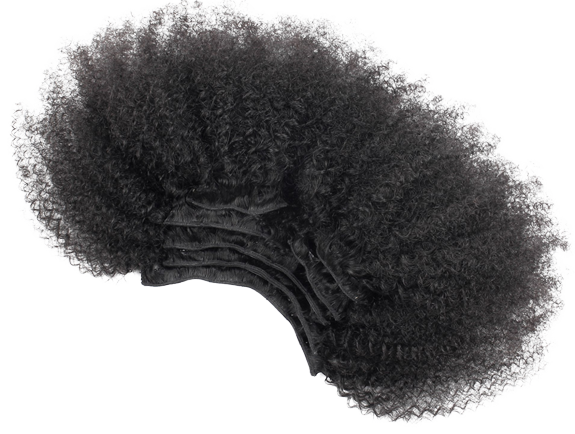 Afro Hair PNG Picture