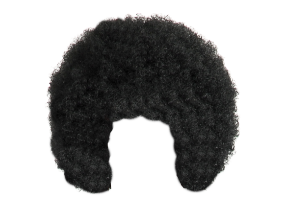 Download Afro Hair PNG