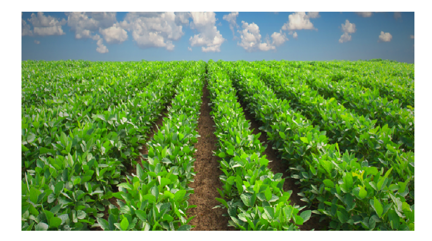 Agriculture PNG HQ - Agriculture Png