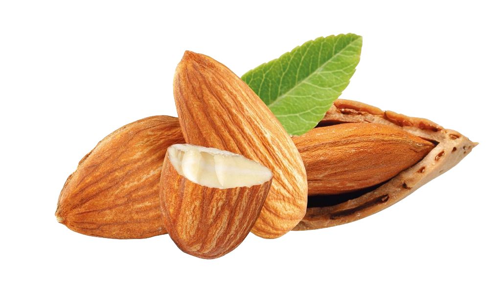 Almond PNG High Definition Photo Image - Almond Png