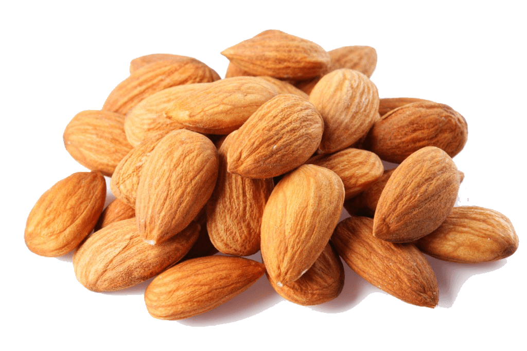 Almond PNG Image in Transparent pngteam.com