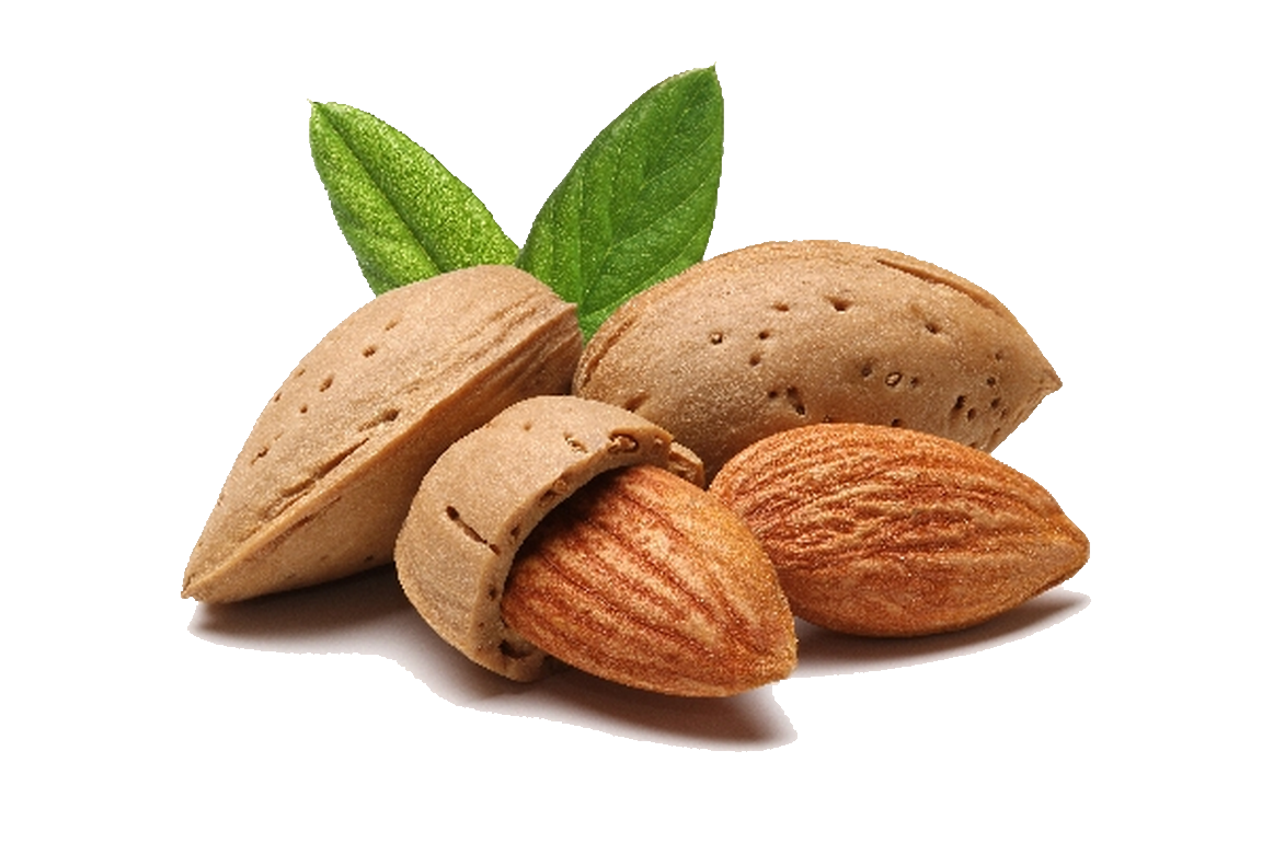 Almond PNG HQ - Almond Png