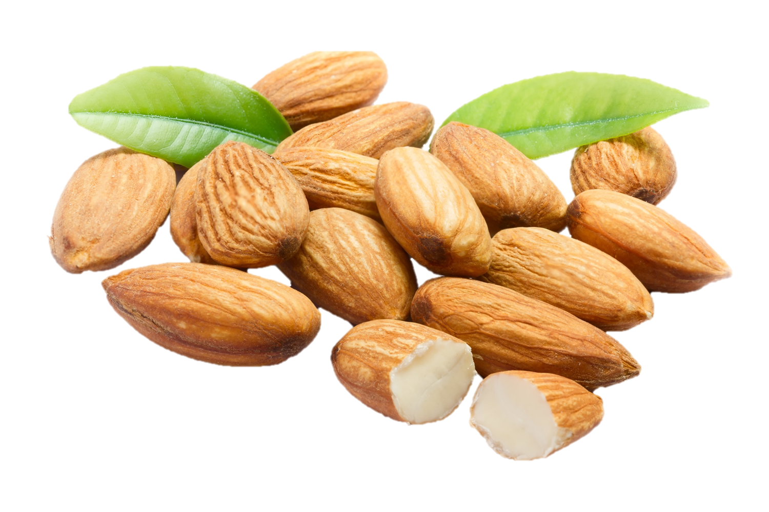 Almond PNG HD and Transparent - Almond Png