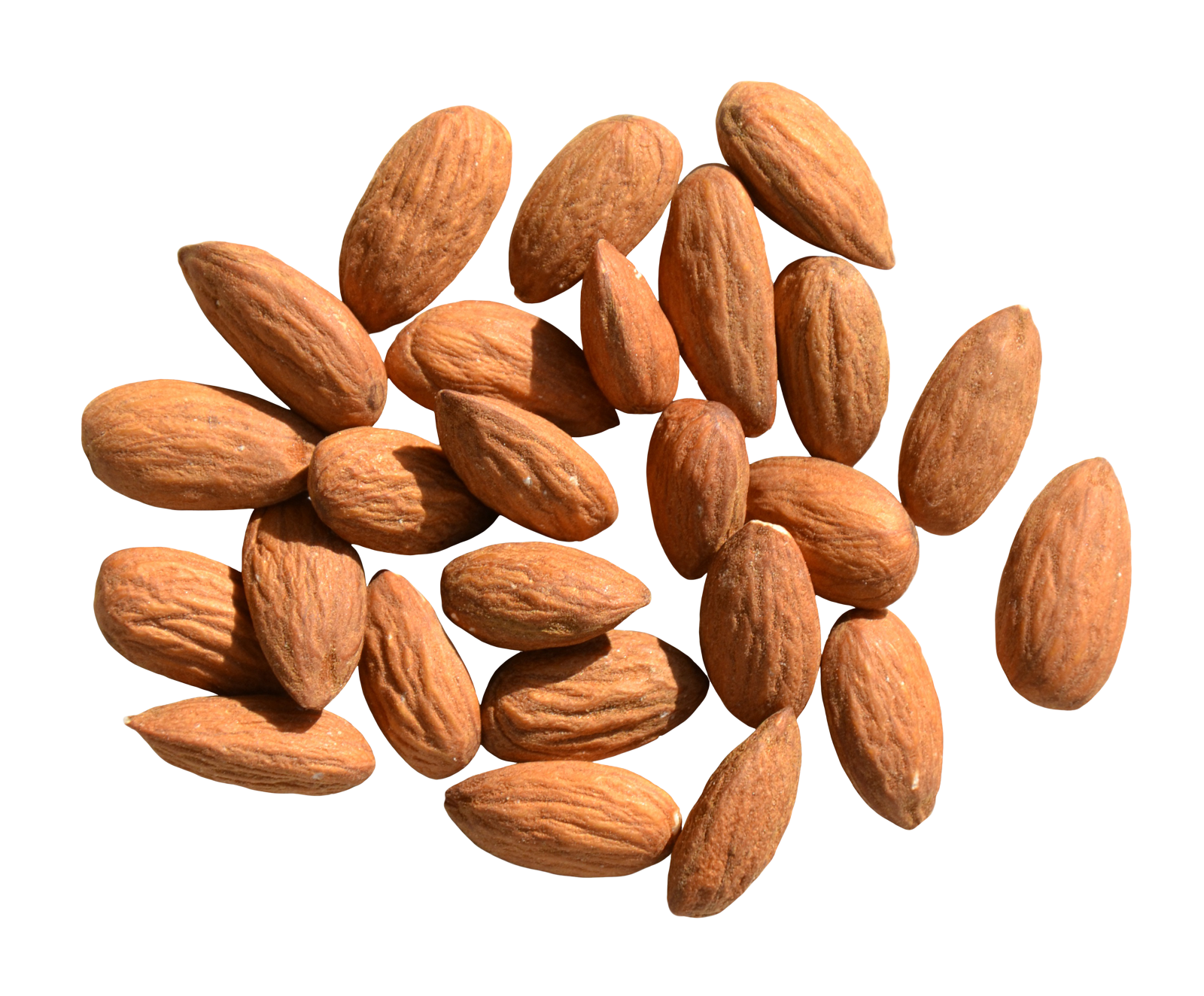 Almond PNG HD and HQ Image