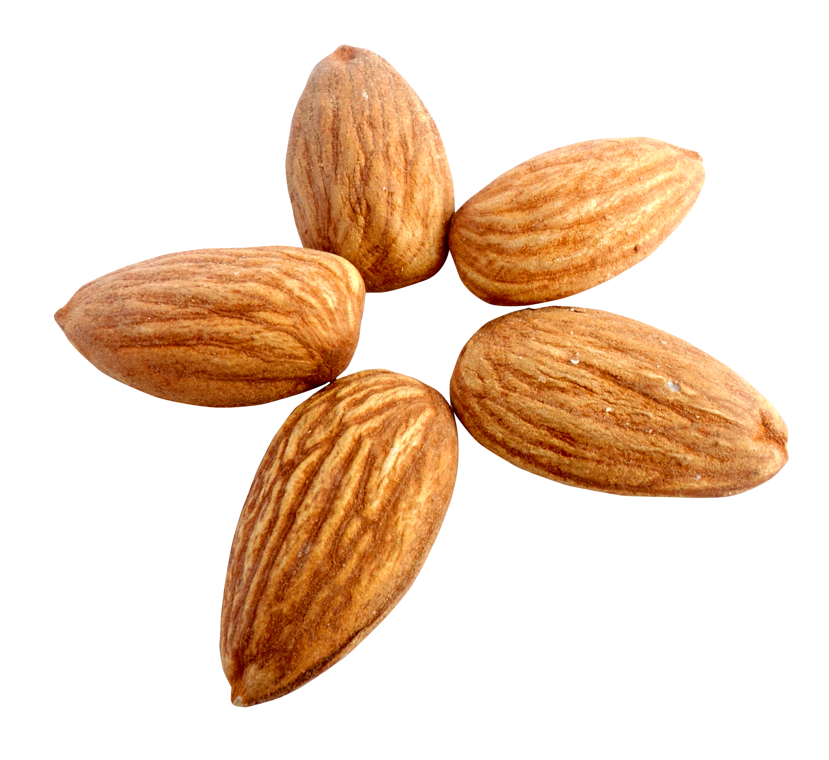 Almond PNG File - Almond Png