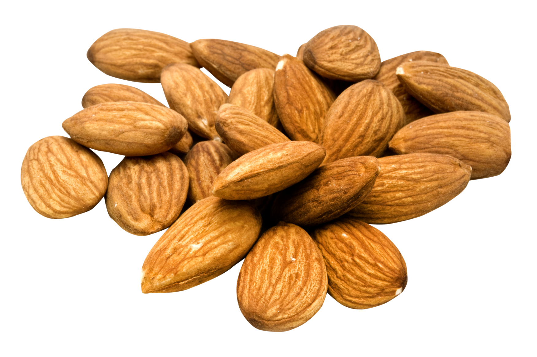 Almond PNG