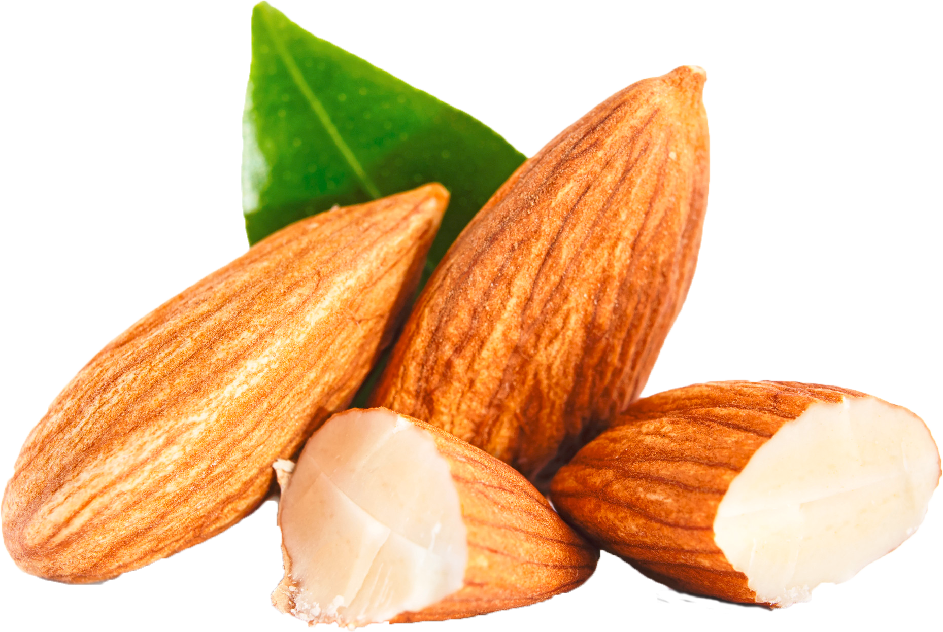 Almond PNG File - Almond Png