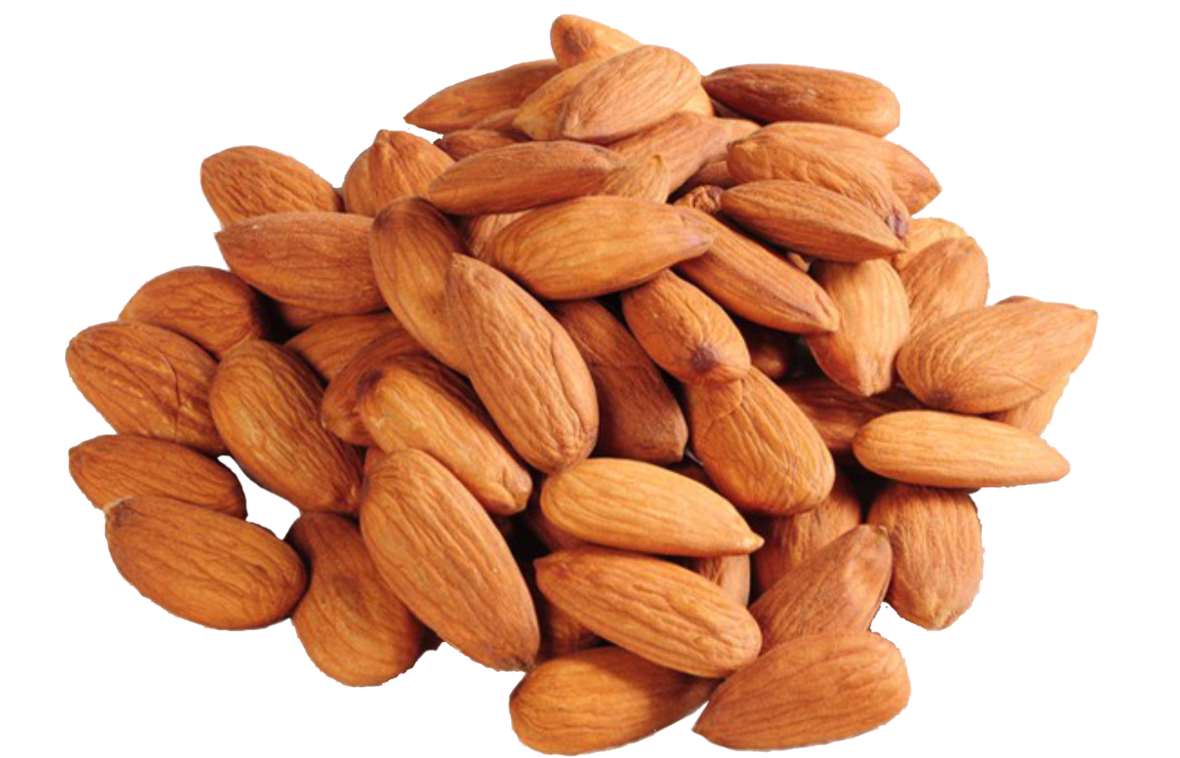 Almond PNG HQ Image pngteam.com