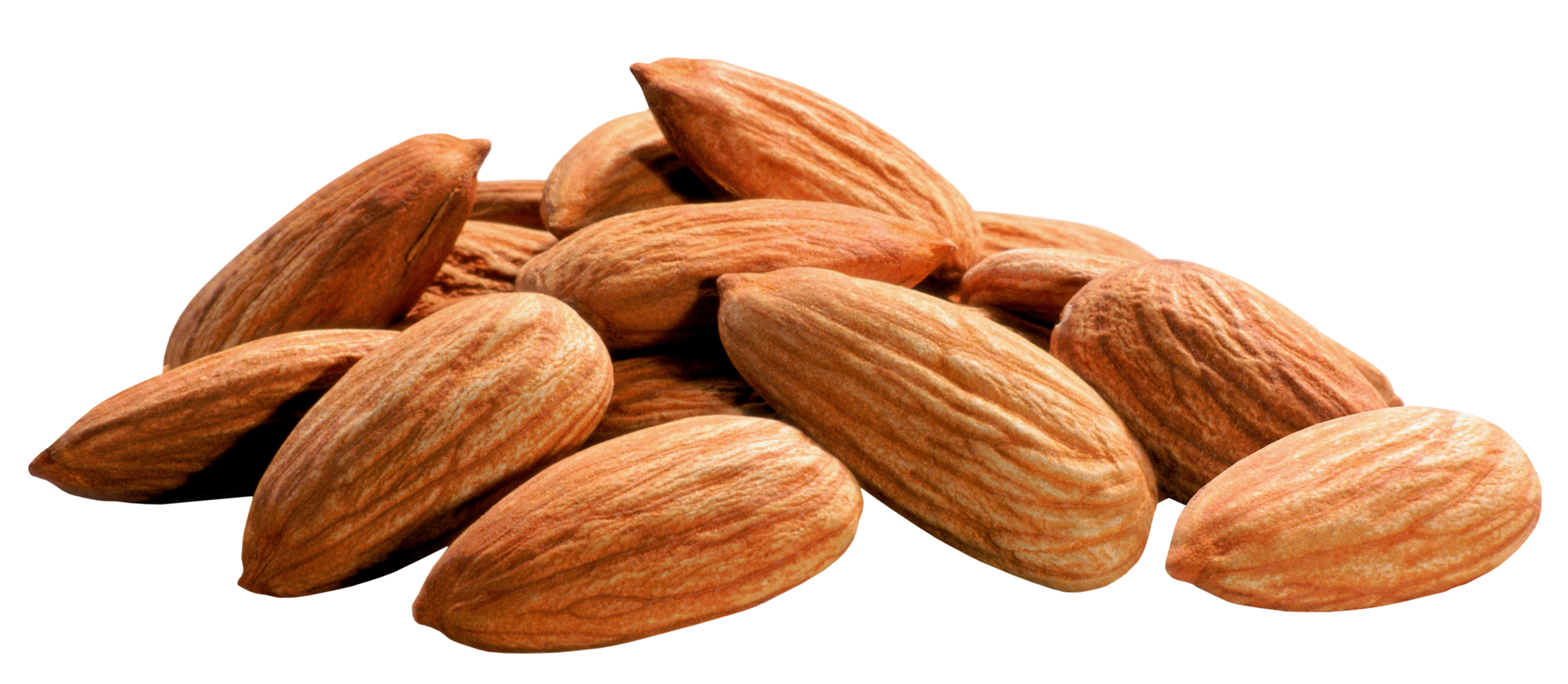 Almond PNG Picture pngteam.com