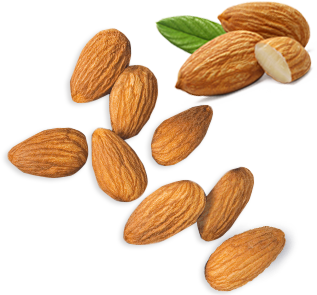 Almond PNG HD and HQ Image pngteam.com