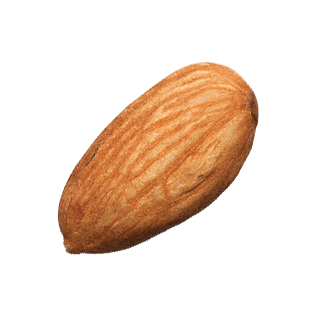 Almond PNG Transparent pngteam.com