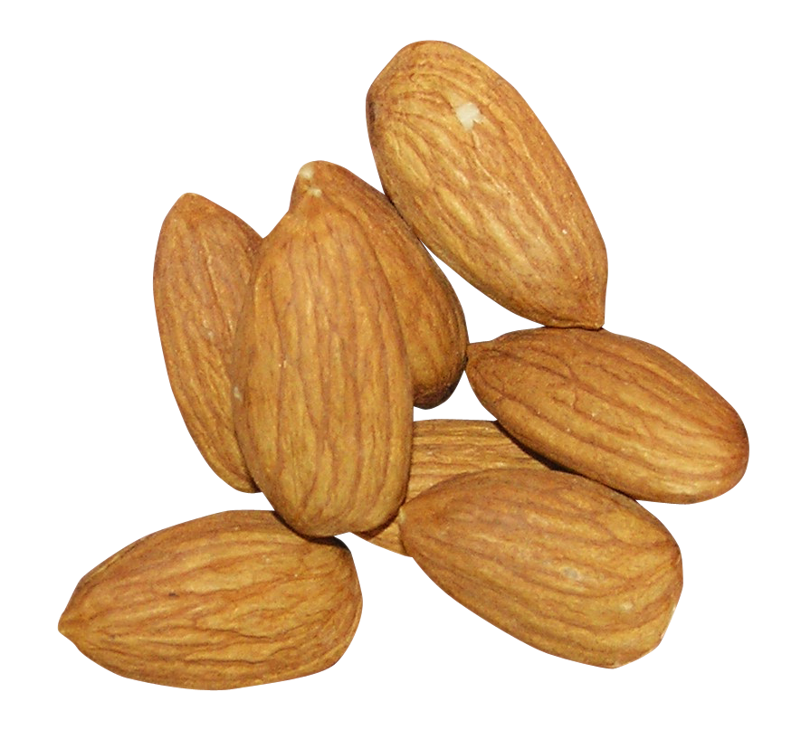 Almond PNG File - Almond Png