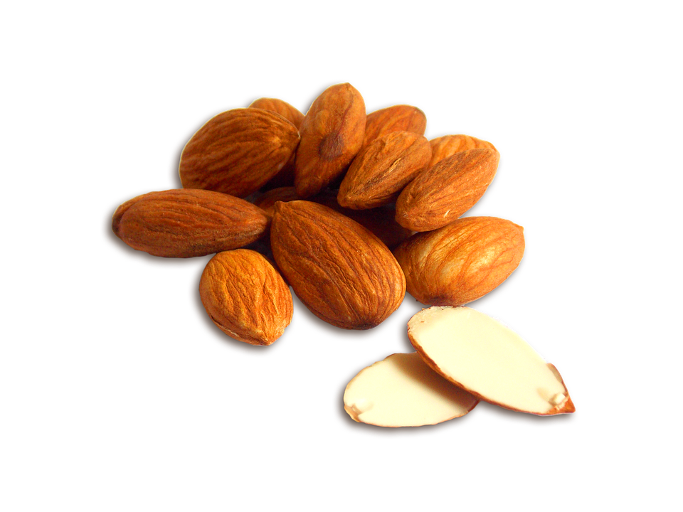 Almond PNG Image in Transparent - Almond Png