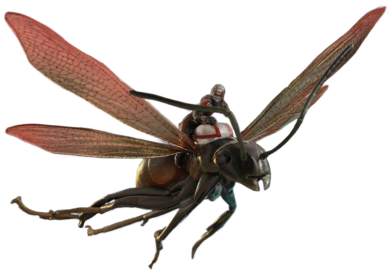 Ant Man PNG HD pngteam.com