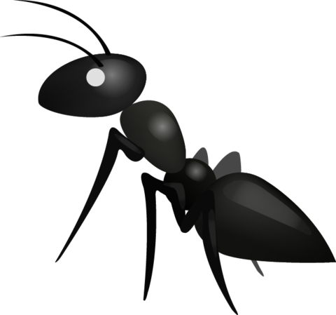 Ant PNG HD and Transparent pngteam.com