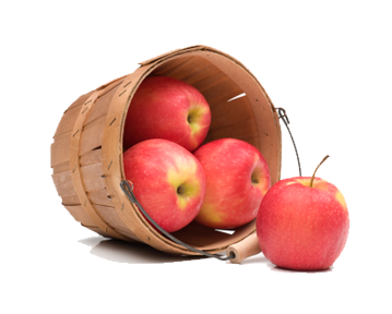 Apple Fruit PNG HQ Image - Apple Fruit Png