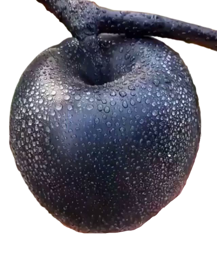 Black Apple Fruit PNG pngteam.com