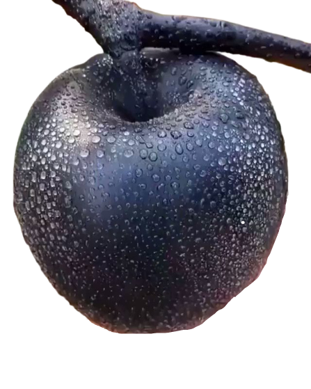 Black Apple Fruit PNG - Apple Fruit Png