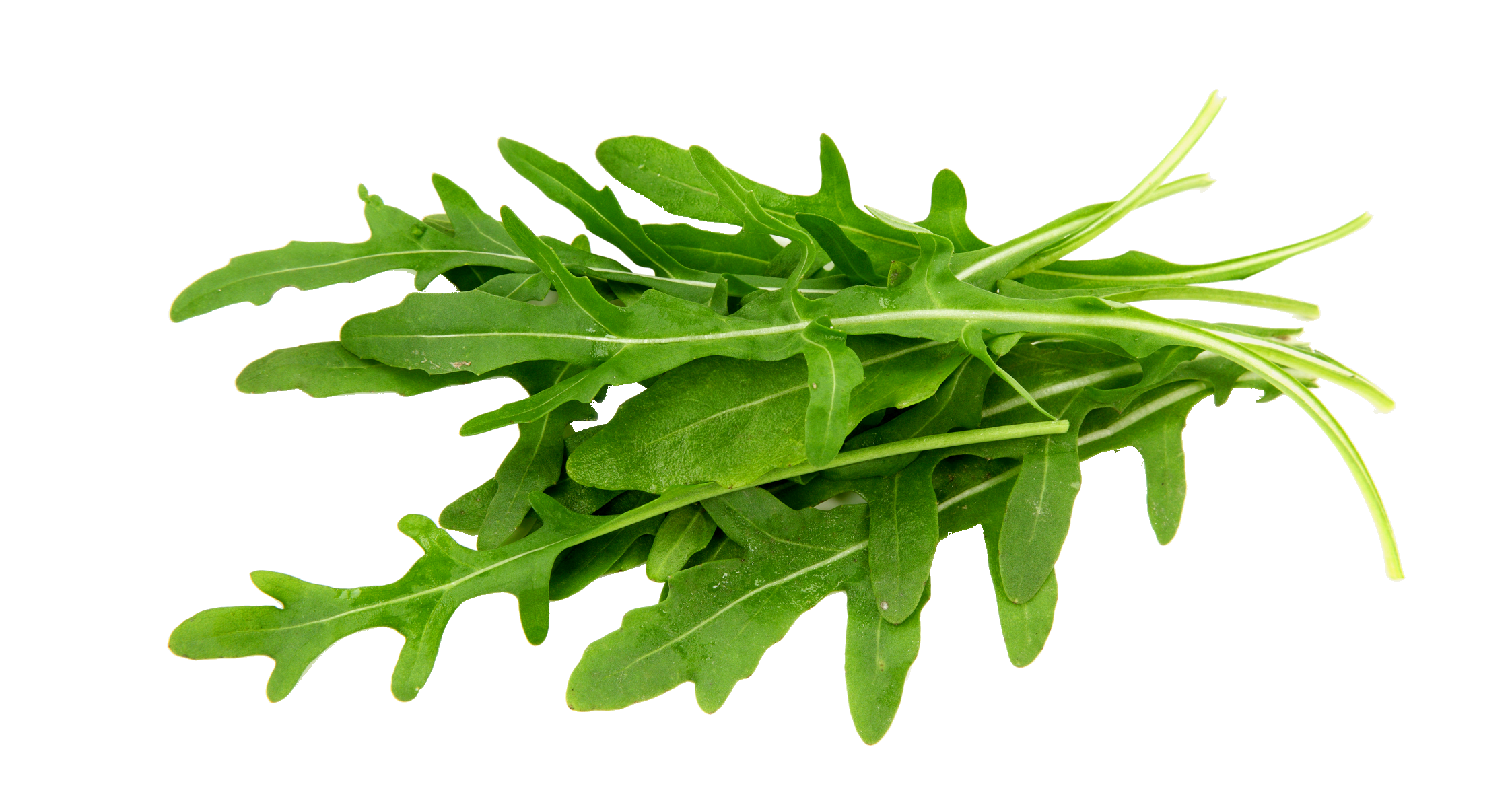 Arugula PNG in Transparent - Arugula Png