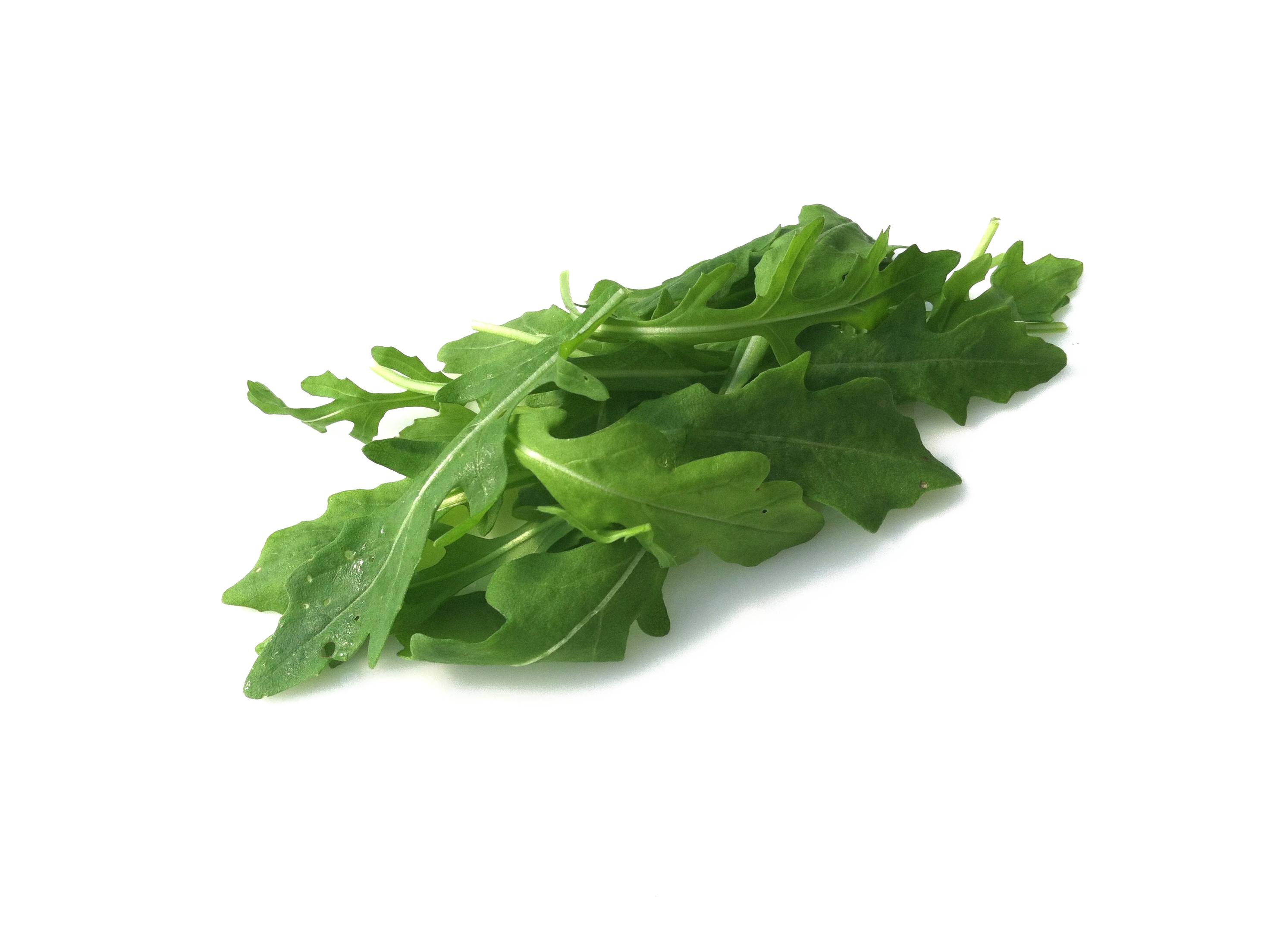 Arugula PNG File - Arugula Png