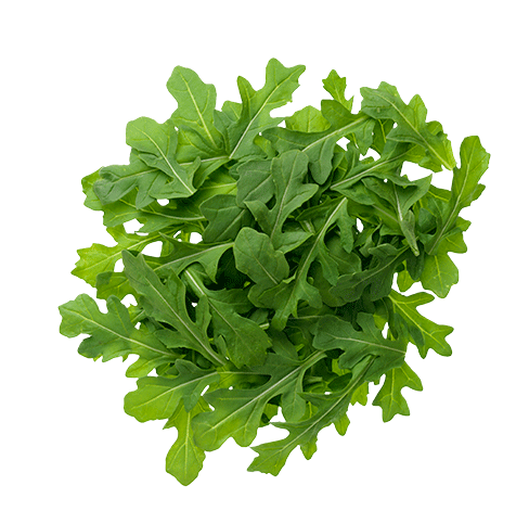 Arugula PNG HD