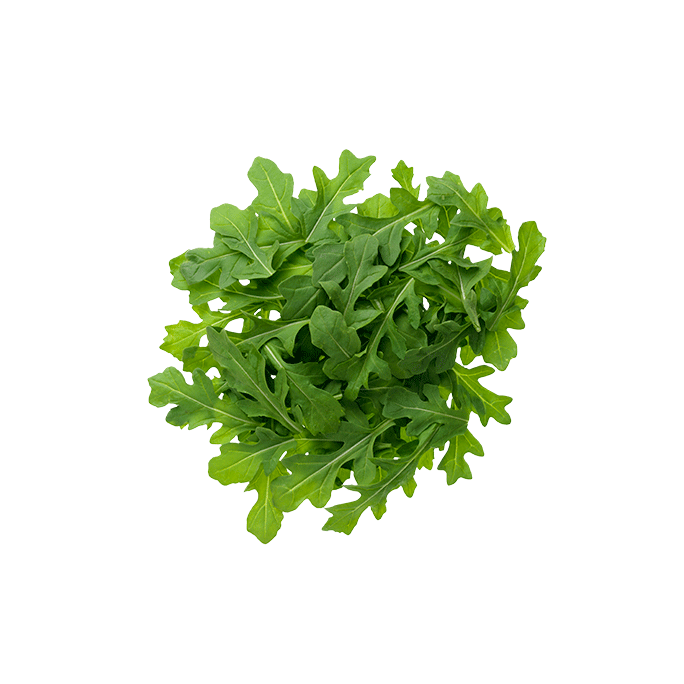 Arugula PNG HD Images pngteam.com