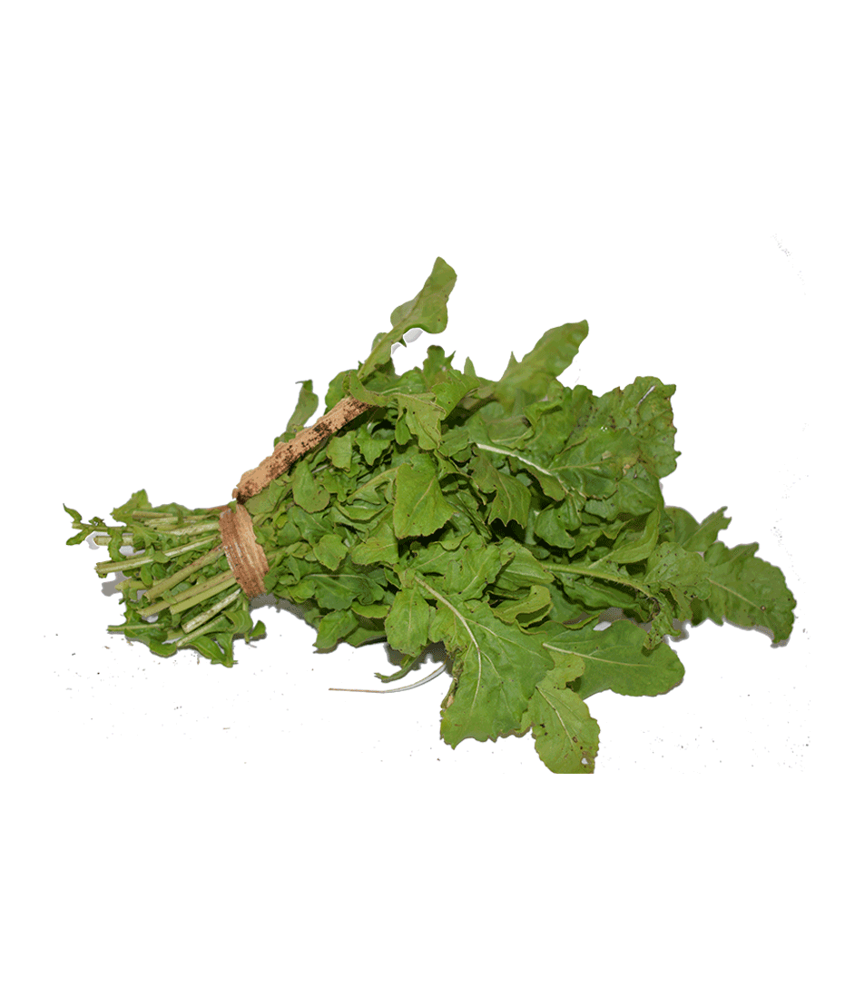 Arugula PNG HD and Transparent pngteam.com