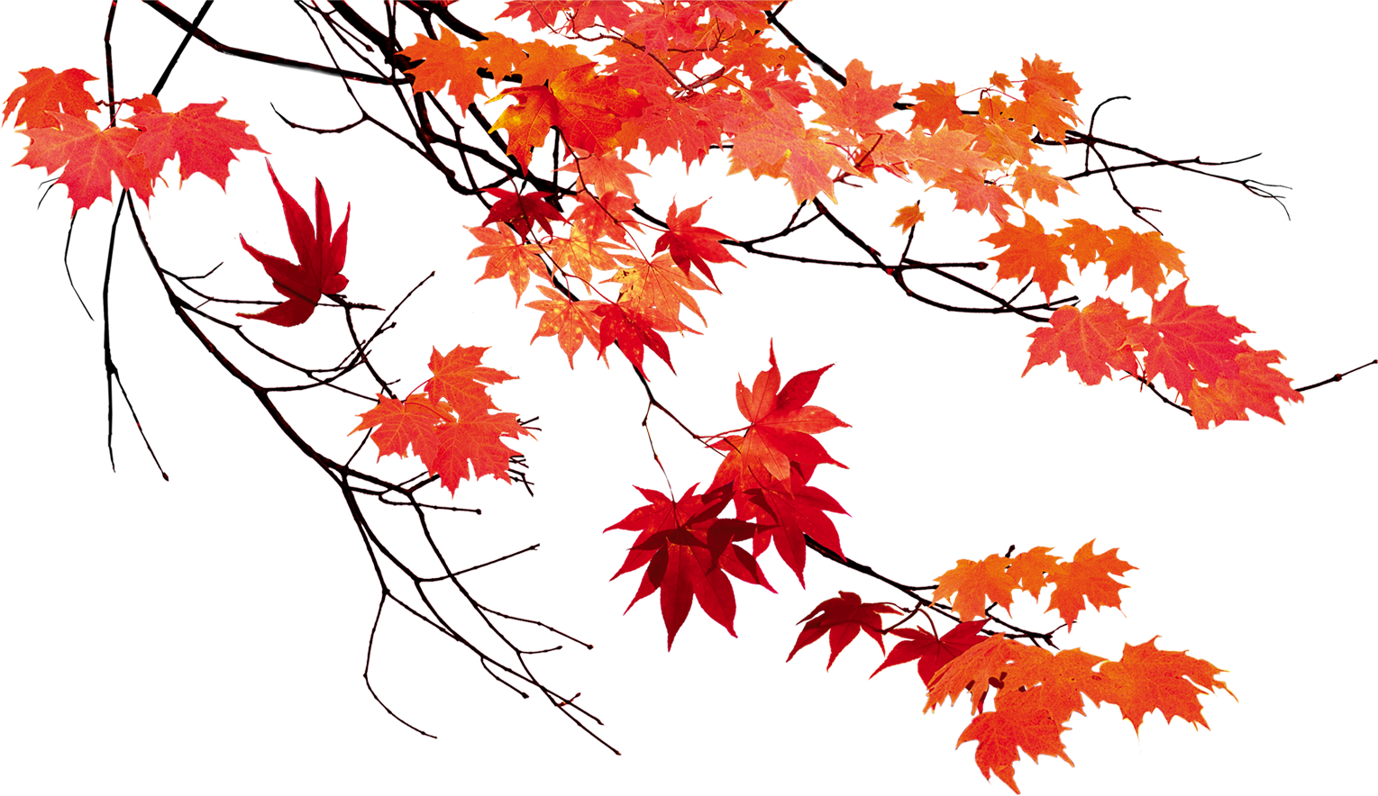 Autumn PNG Image in High Definition