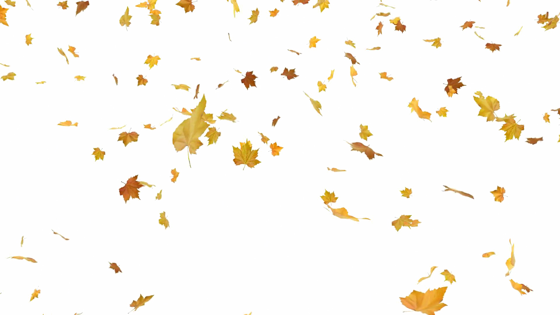 Autumn PNG Transparent