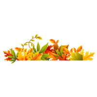 Autumn PNG HD