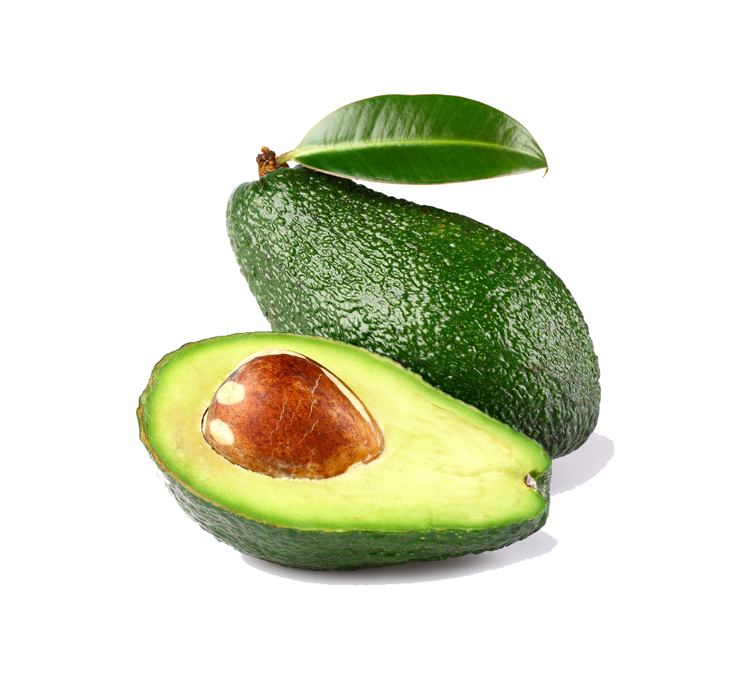 Avocado PNG HD Images pngteam.com