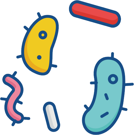 Bacteria PNG HQ Image pngteam.com