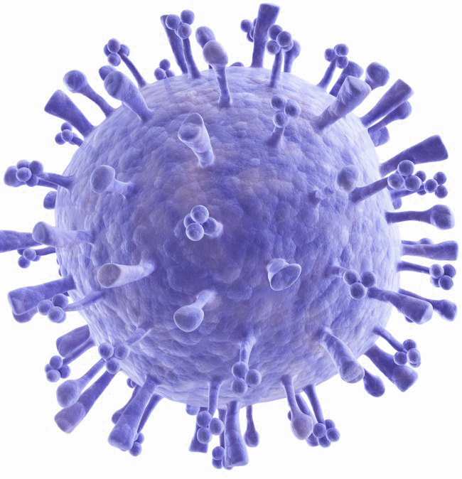 Bacteria PNG Images