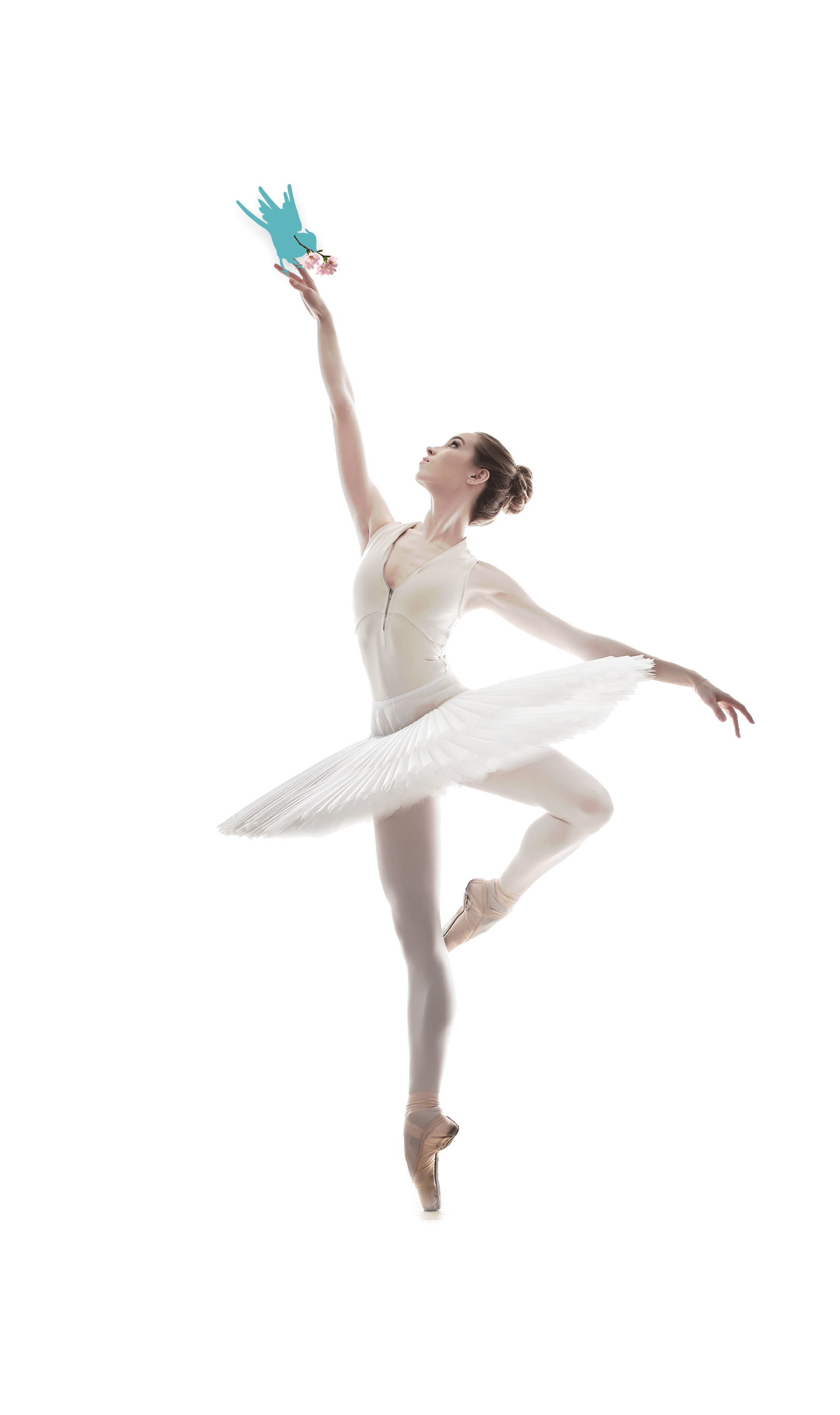 Ballet Dancer PNG in Transparent pngteam.com