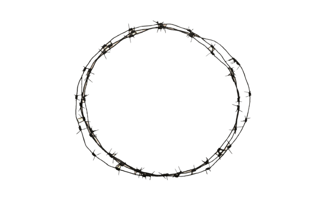 Barbwire PNG Image in Transparent pngteam.com