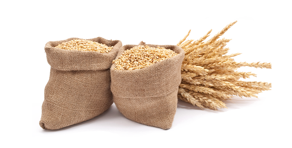 Barley PNG HD Images