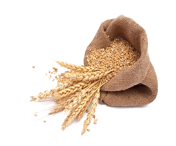 Barley PNG