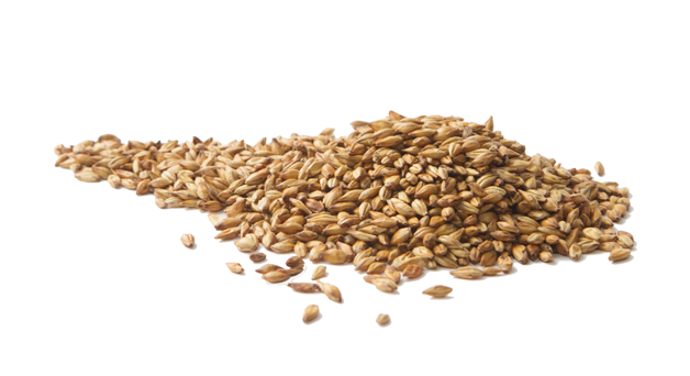 Barley PNG Image in High Definition pngteam.com