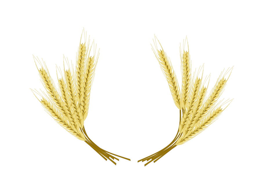 Barley PNG File pngteam.com