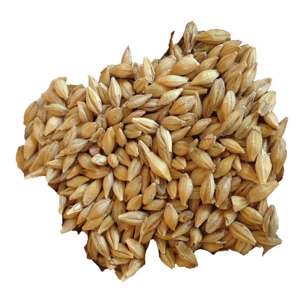 Barley PNG High Definition Photo Image pngteam.com