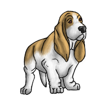 Basset Hound Clipart Cartoon PNG HD Transparent pngteam.com