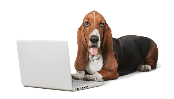 Basset Hound with Computer PNG Image in High Definition pngteam.com