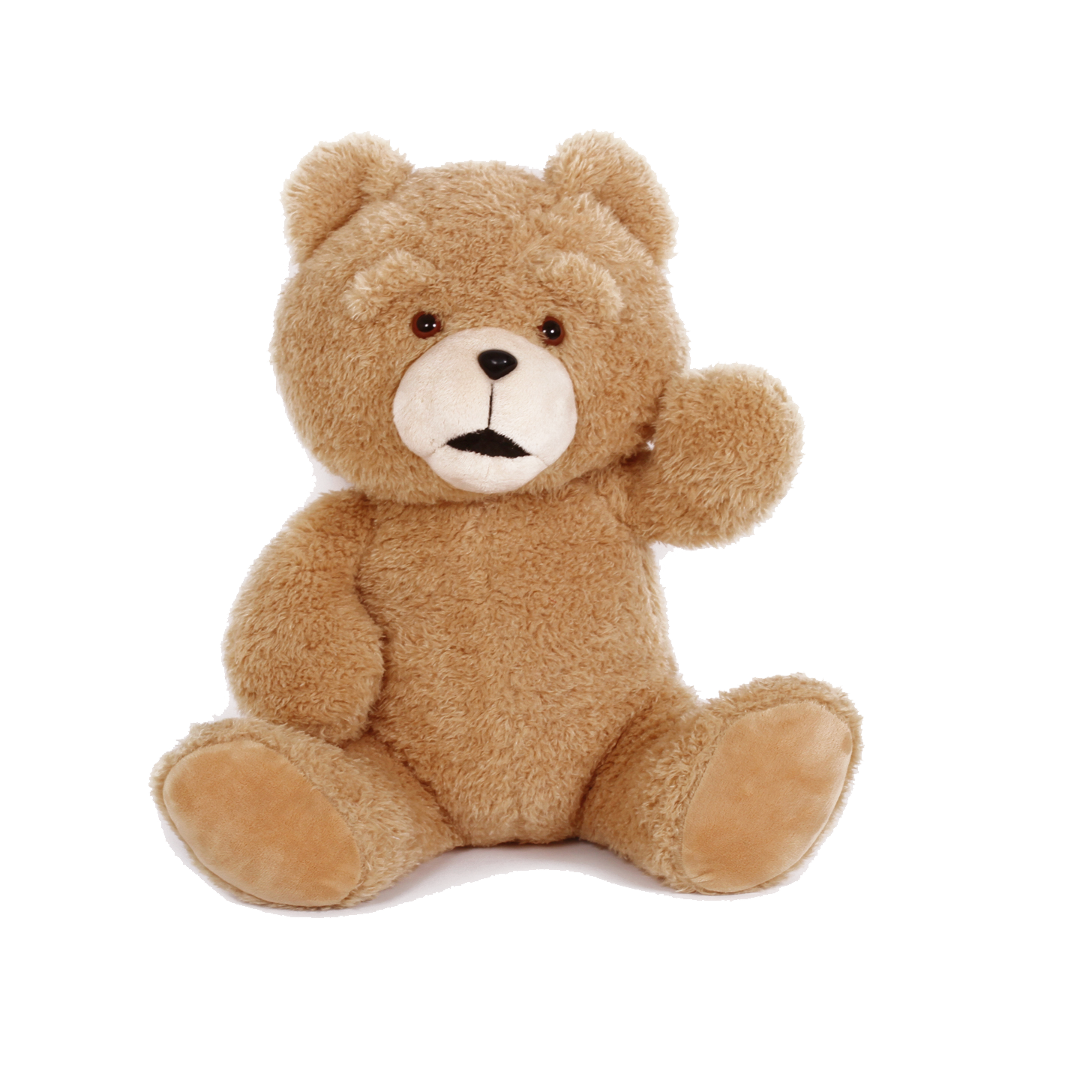 Bear PNG Photo