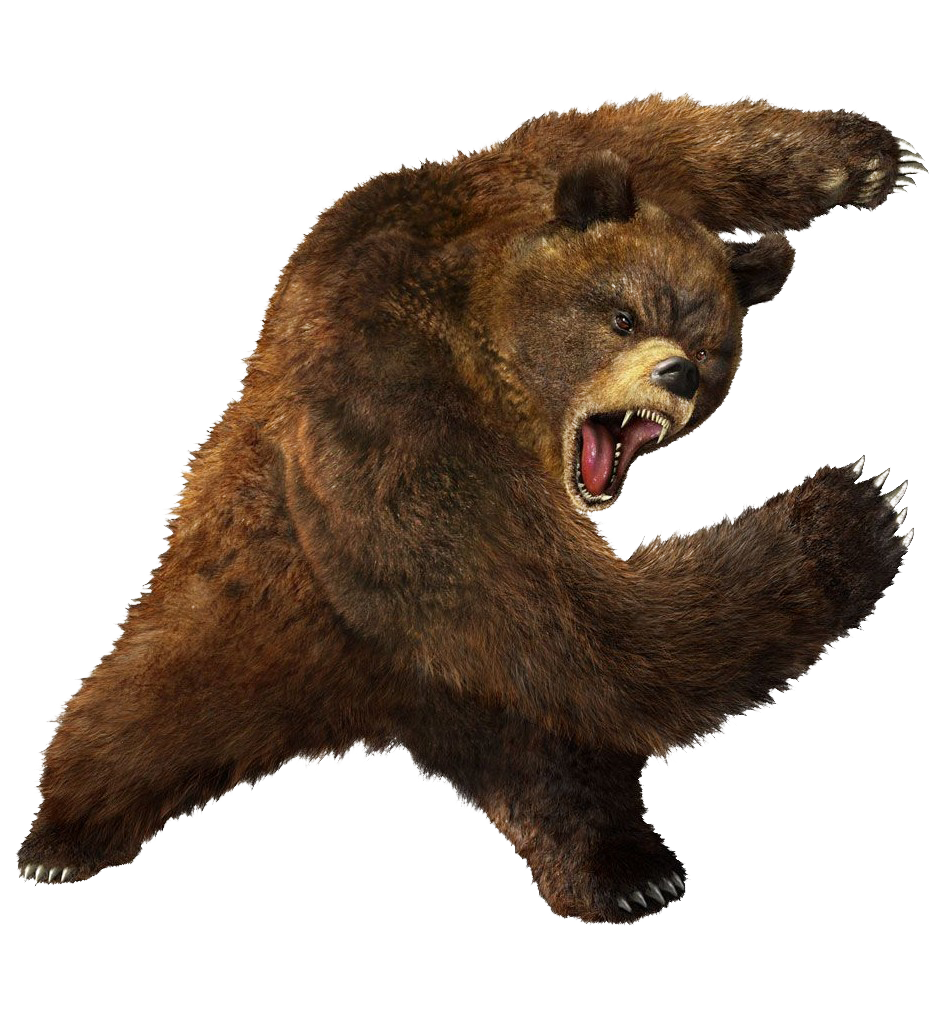 Bear PNG Best Image pngteam.com