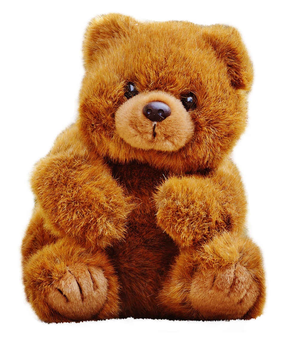 Bear PNG Transparent pngteam.com