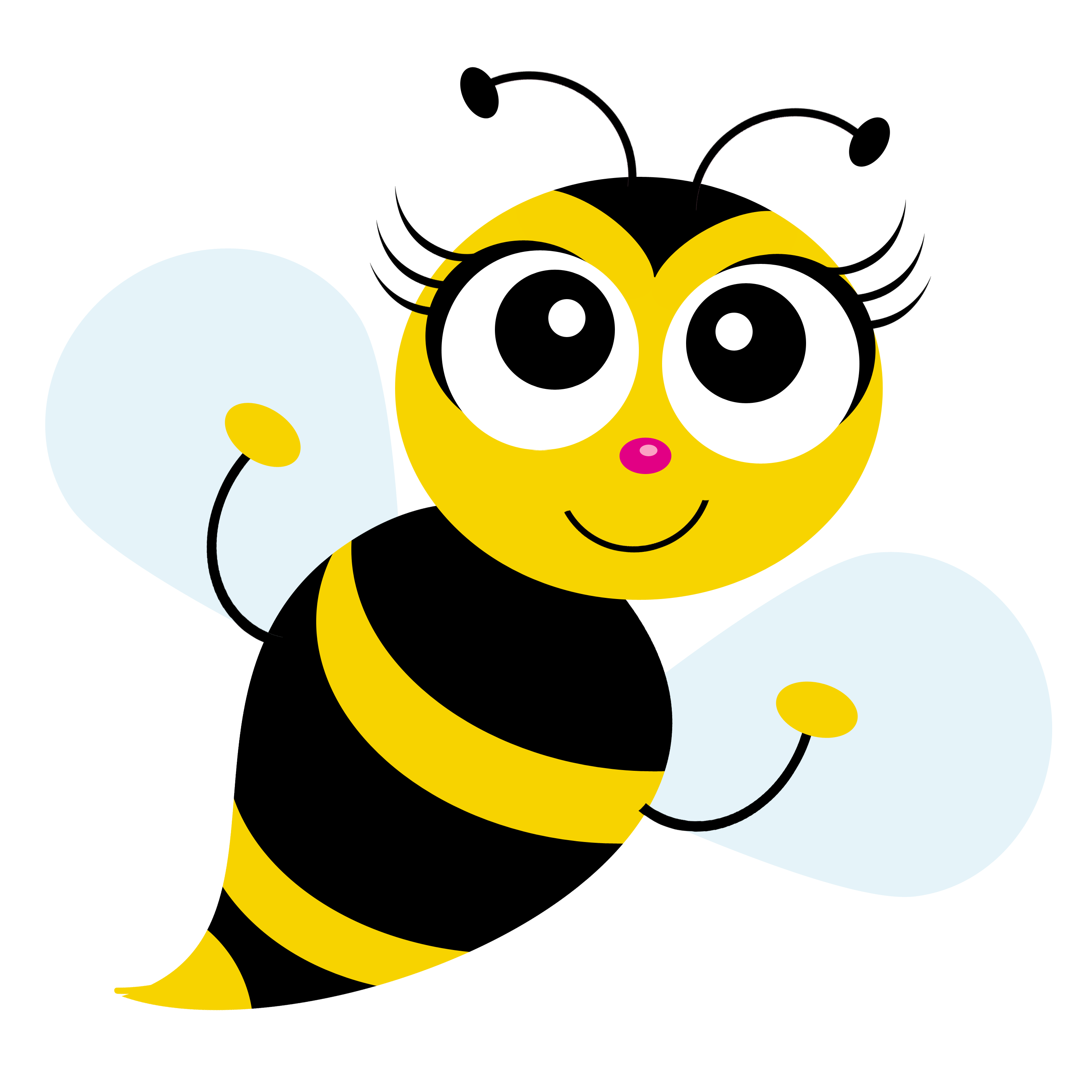 Bee PNG High Definition Photo Image