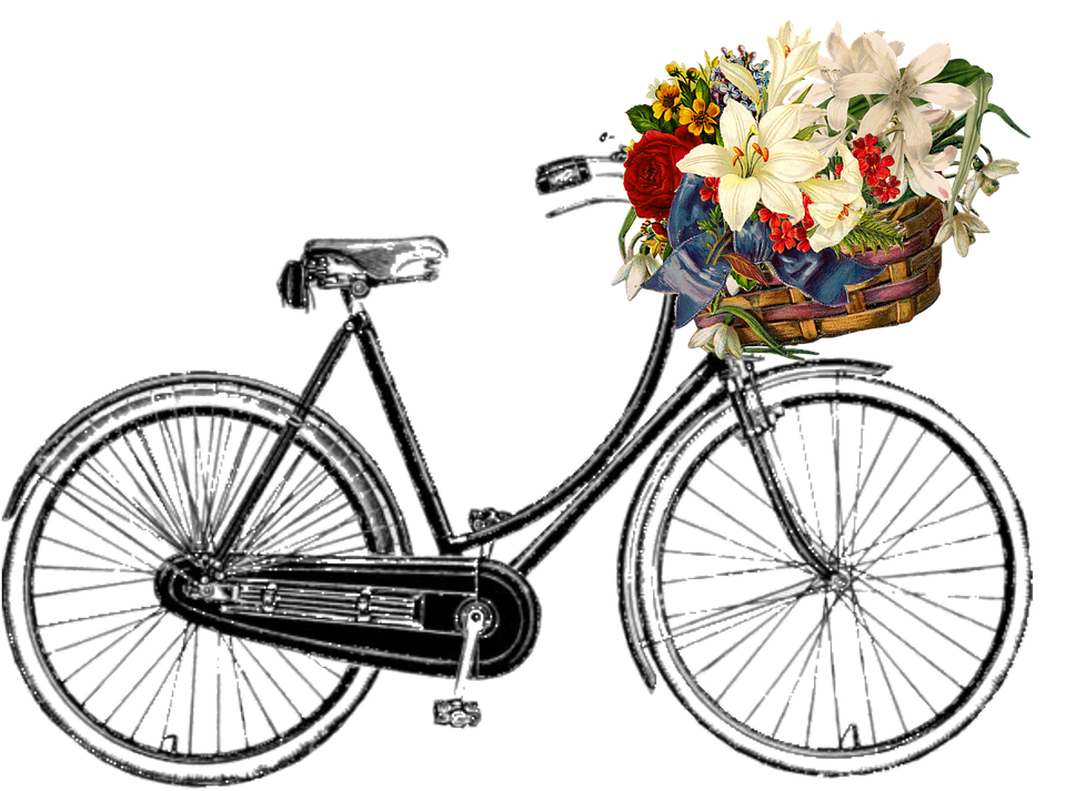 Bicycle PNG Image in High Definition