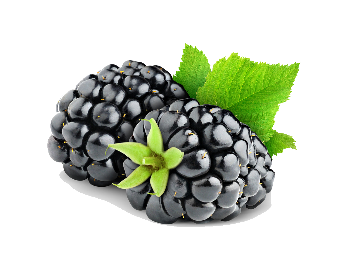 Blackberry Fruit PNG HD Image