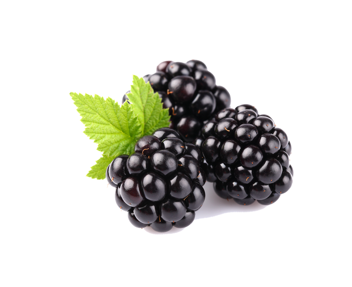 Blackberry Fruit PNG
